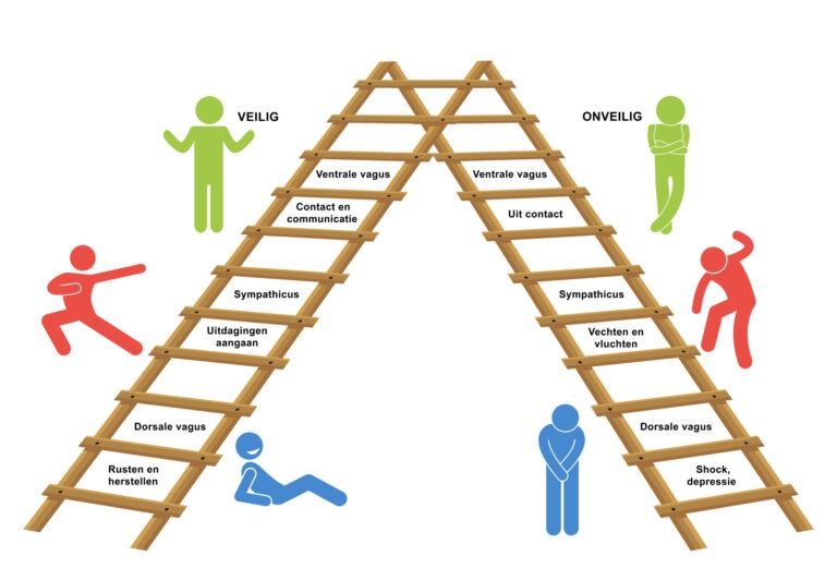 Schema overzicht CZS